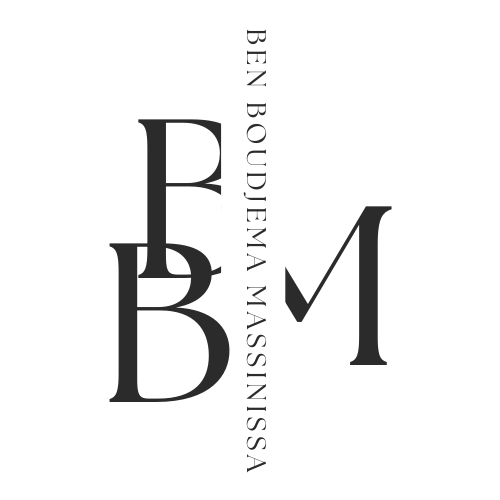 Portfolio Massinissa